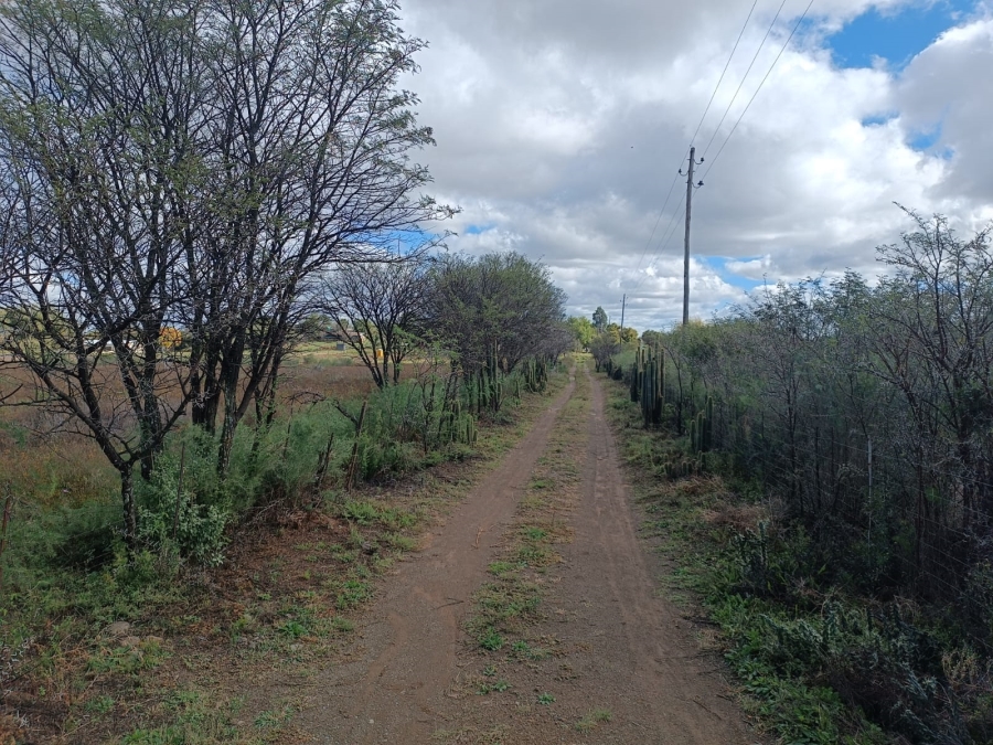 3 Bedroom Property for Sale in Koppies Free State